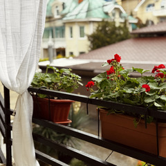 Гостевой дом Лазурный ГД, Краснодарский край