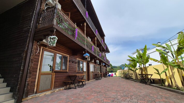 Внешний вид