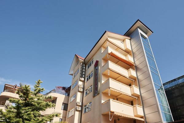 Внешний вид