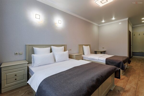 Делюкс 3-местный 1-комнатный (3 этаж)