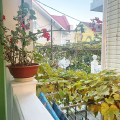 Гостевой дом Волна, Краснодарский край