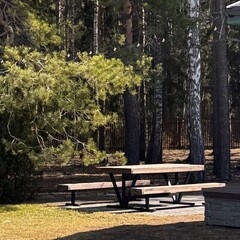 Гостевой дом Елки. Дом у леса, Тюменская область