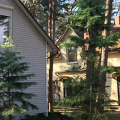 База отдыха База отдыха ВитТех Куршская коса, Калининградская область