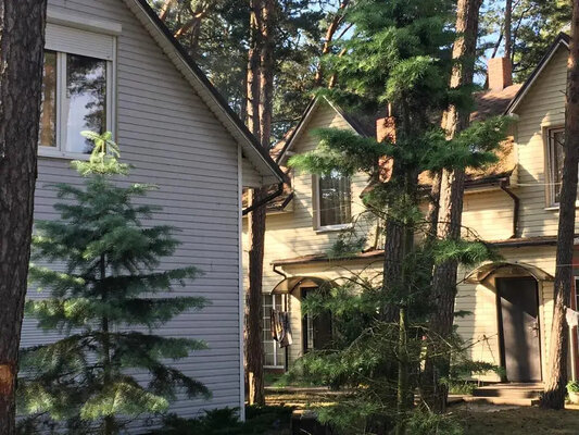 База отдыха ВитТех Куршская коса — фото 4