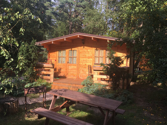 База отдыха ВитТех Куршская коса — фото 2