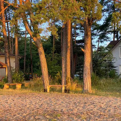 База отдыха База отдыха ВитТех Куршская коса, Калининградская область