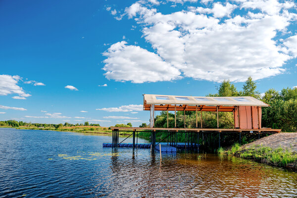 Носороги — фото 4