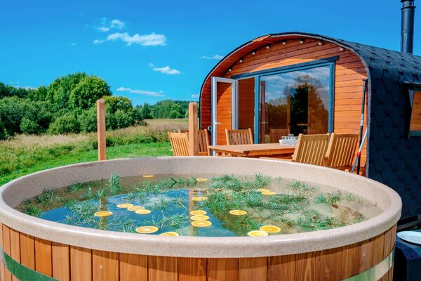 Носороги — фото 1