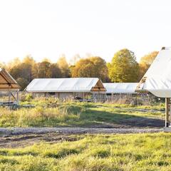 Глэмпинг Носороги, Тверская область