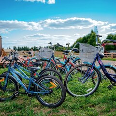 Глэмпинг Носороги, Тверская область