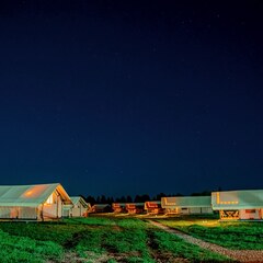 Глэмпинг Носороги, Тверская область
