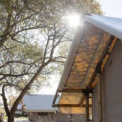 Глэмпинг Носороги, Тверская область