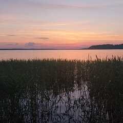 Глэмпинг Носороги, Тверская область