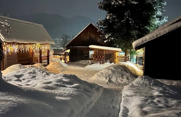 Внешний вид. Зима