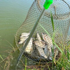 База отдыха Клондайк, Тюменская область