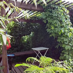 Гостевой дом Империал (Севастополь), Крым