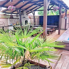 Гостевой дом Три пальмы (Геленджик), Краснодарский край