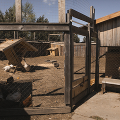 База отдыха Наша Дача, Калужская область