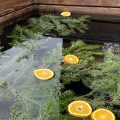 Глэмпинг Scandi hause, Тюменская область