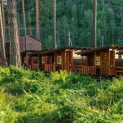 База отдыха Сибиряки, Республика Алтай