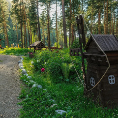 База отдыха Сибиряки, Республика Алтай