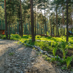 База отдыха Сибиряки, Республика Алтай