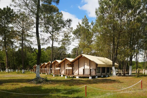 Территория