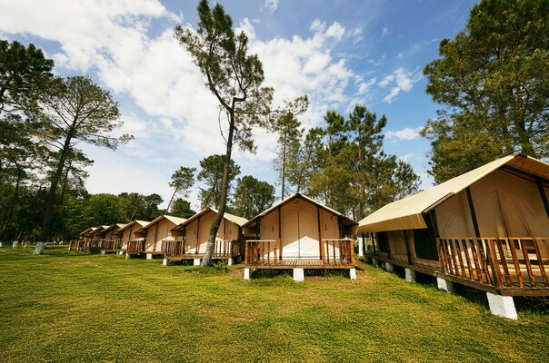 Территория