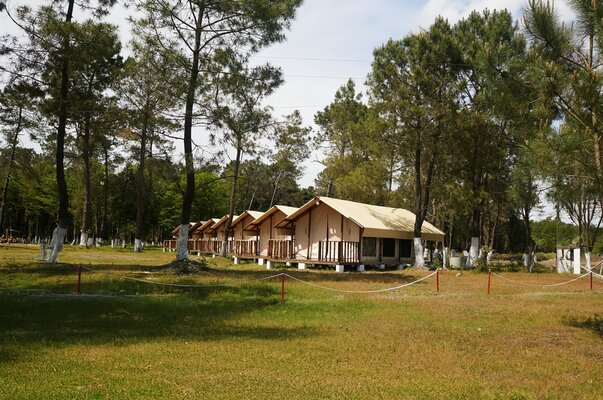 Территория