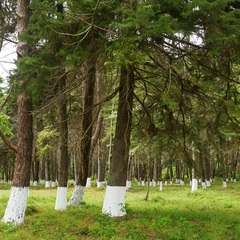Глэмпинг HOUSE OF THE SEA, Краснодарский край