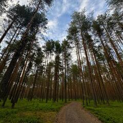 База отдыха Каялин, Ленинградская область