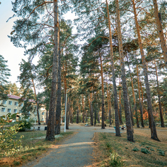 База отдыха Лесные кварталы (Лесники), Курганская область