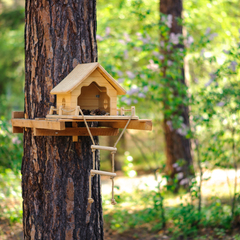 База отдыха Лесные кварталы (Лесники), Курганская область