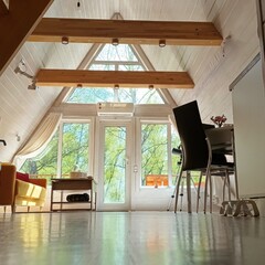 Глэмпинг Лисий нос, Томская область