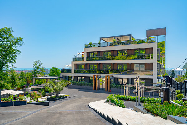 Внешний вид