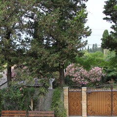 Гостевой дом Мечта, Гагрский район