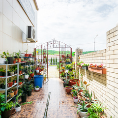 Гостевой дом Уют Джубга, Краснодарский край