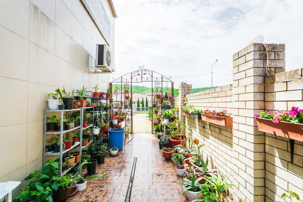 Территория