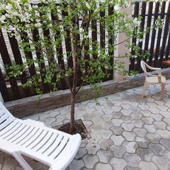 Гостевой дом Арнаир, Краснодарский край