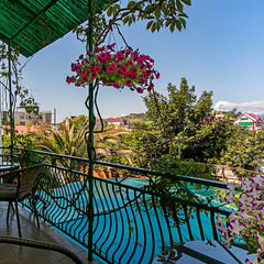 Гостевой дом Пальм Бриз, Краснодарский край