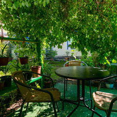 Гостевой дом Пальм Бриз, Краснодарский край