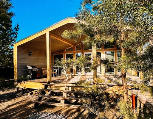 Внешний вид