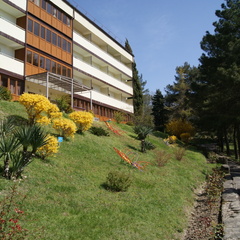 Пансионат  Восток Club Resort Сamp & Spa, Краснодарский край