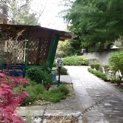 Пансионат  Восток Club Resort Сamp & Spa, Краснодарский край