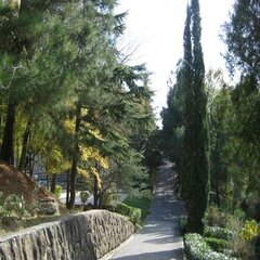 Пансионат  Восток Club Resort Сamp & Spa, Краснодарский край