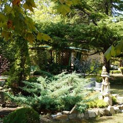 Пансионат  Восток Club Resort Сamp & Spa, Краснодарский край