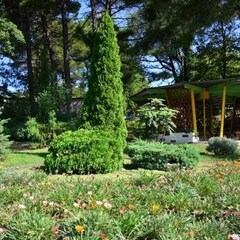 Пансионат  Восток Club Resort Сamp & Spa, Краснодарский край