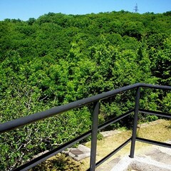 Пансионат  Восток Club Resort Сamp & Spa, Краснодарский край