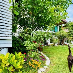 Коттеджный комплекс Mozaika, Гагрский район