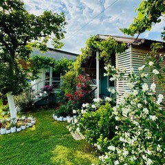 Коттеджный комплекс Mozaika, Гагрский район